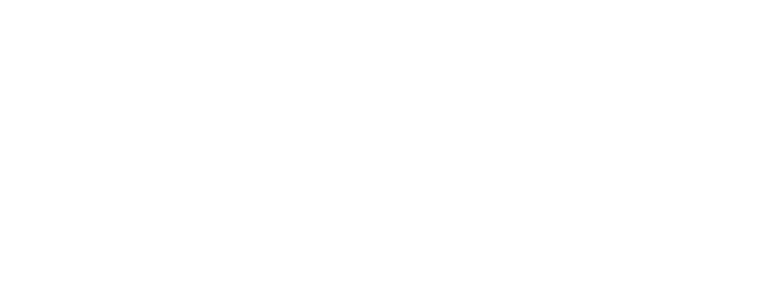 Holly Oak Tree and Landscaping Services